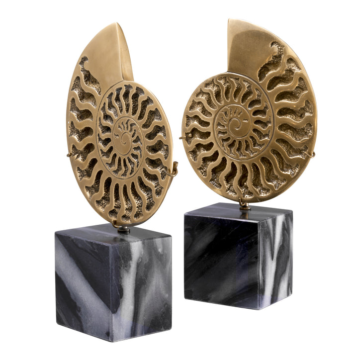 Eichholtz Object Ammonite Set van 2 – afbeelding 3