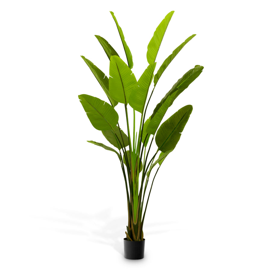 Eichholtz Kunstplant Strelitzia L – afbeelding 1