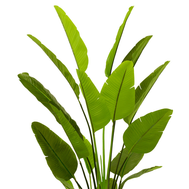 Eichholtz Kunstplant Strelitzia L – afbeelding 3