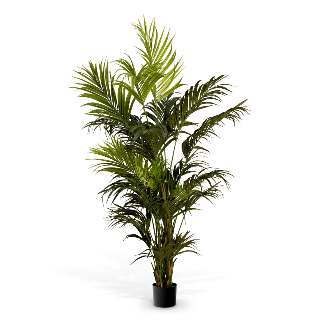 Eichholtz Kunstplant Kentia Palm
