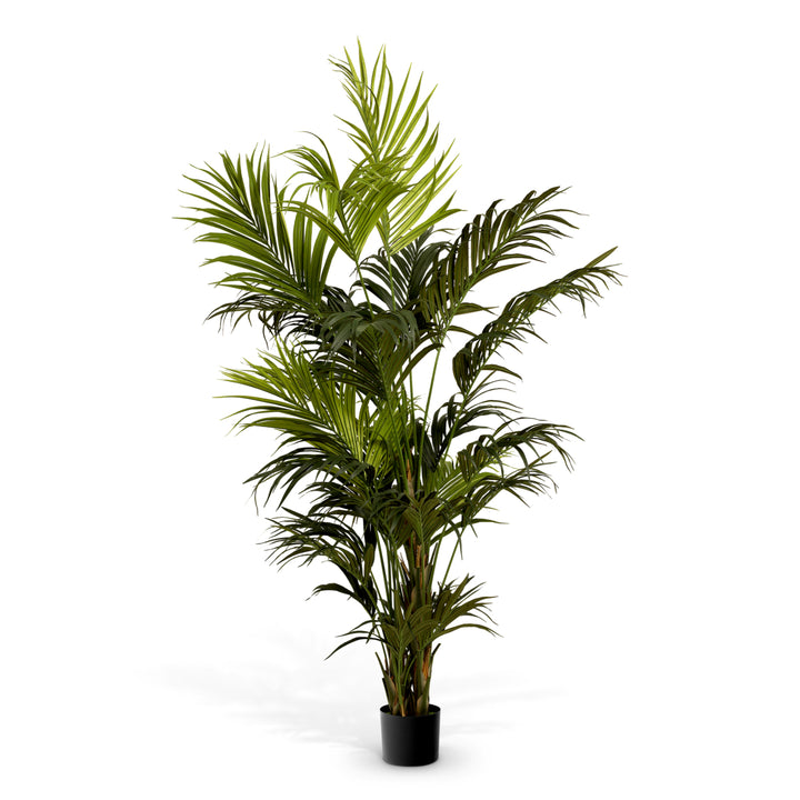 Eichholtz Kunstplant Kentia Palm