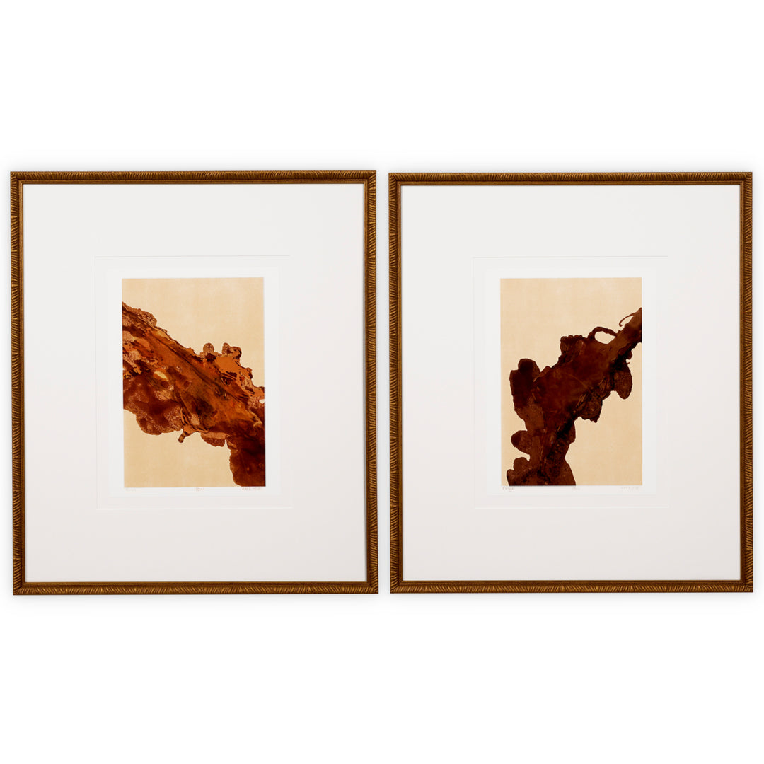 Eichholtz Prints Mirage & Rêverie Set 2