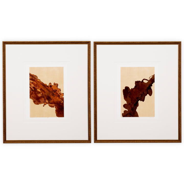 Eichholtz Prints Mirage & Rêverie Set 2