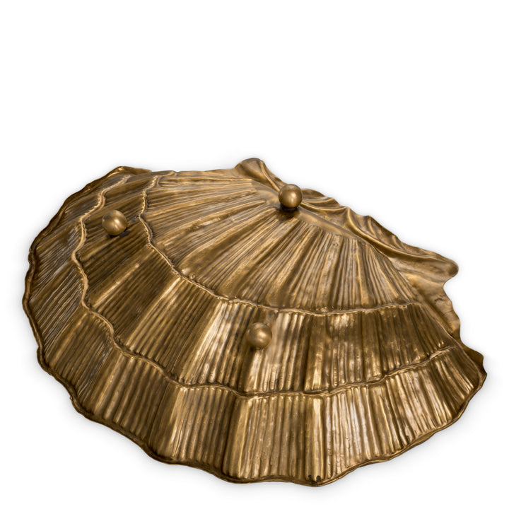 Eichholtz Schaal Seashell – afbeelding 5