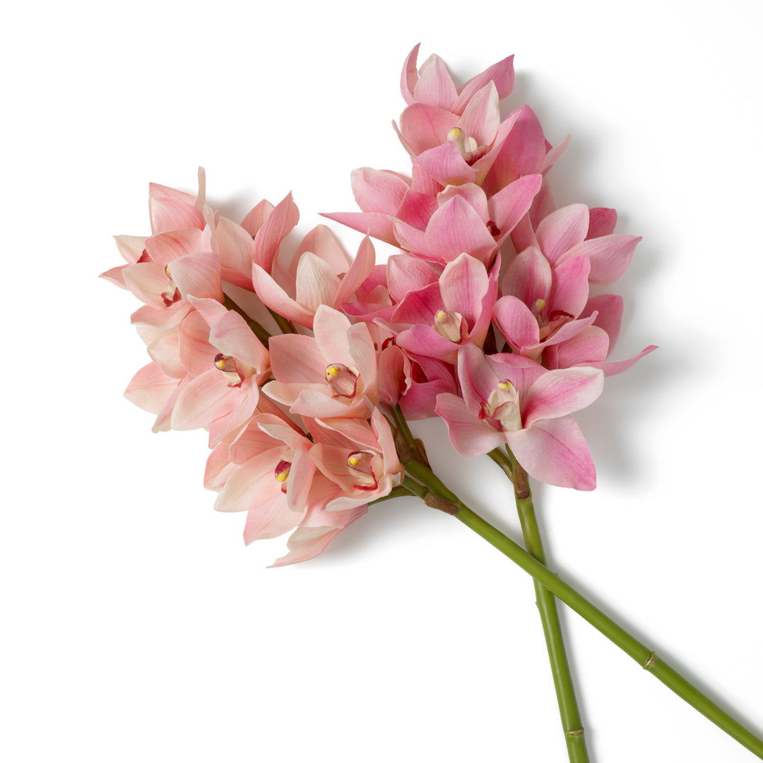 Eichholtz Orchideeën Cymbidium Pink 36