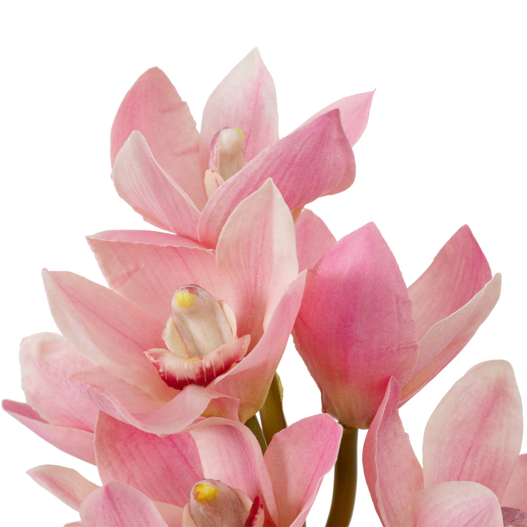 Eichholtz Orchideeën Cymbidium Pink 36