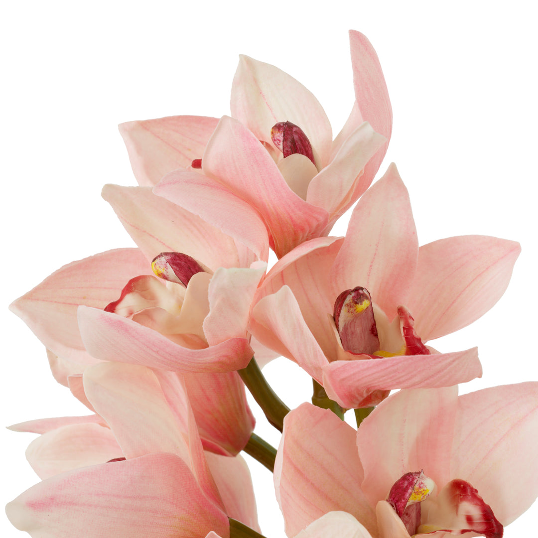 Eichholtz Orchideeën Cymbidium Pink 36