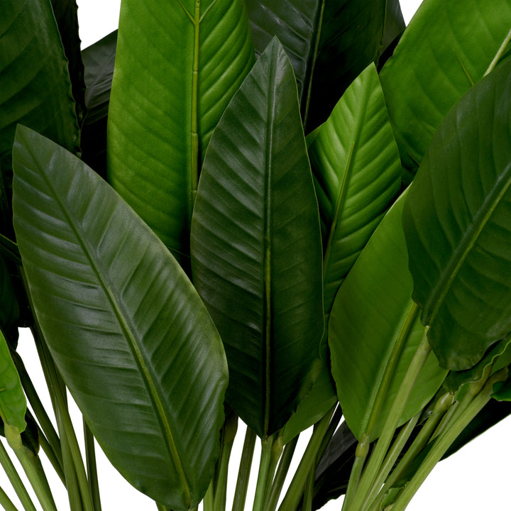 Eichholtz Strelitzia Bladeren Set van 36