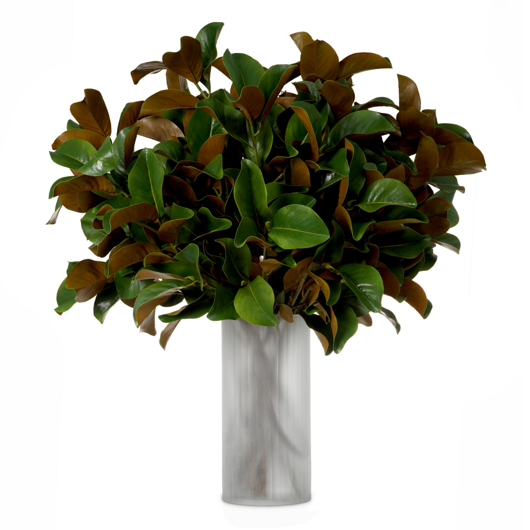 Eichholtz Magnolia Bladeren Set van 24