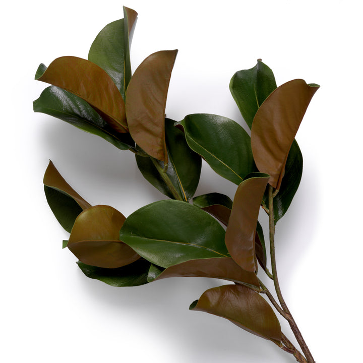 Eichholtz Magnolia Bladeren Set van 24