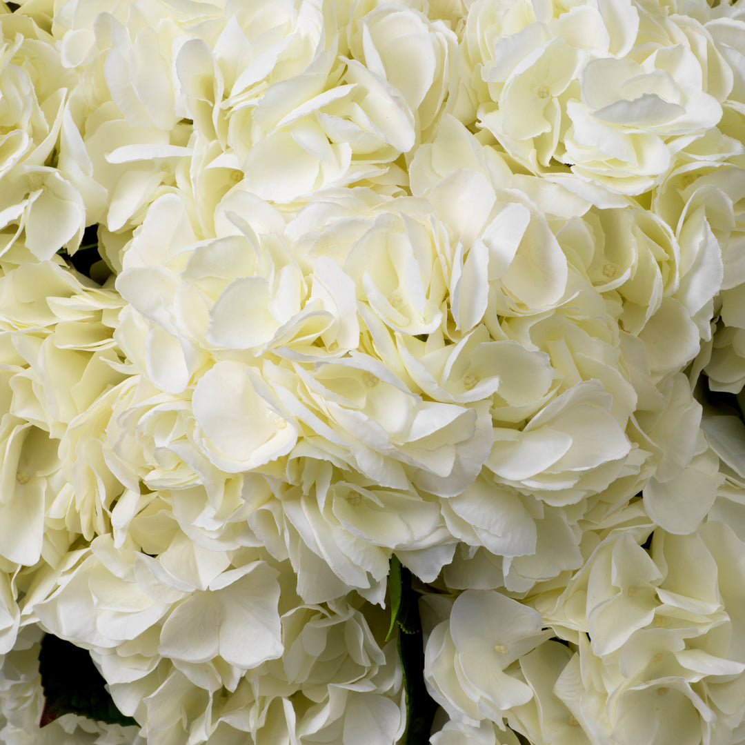 Eichholtz Hortensia's Real Touch Wit 48
