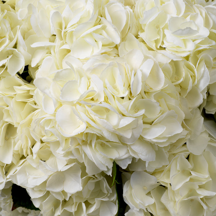 Eichholtz Hortensia's Real Touch Wit 48