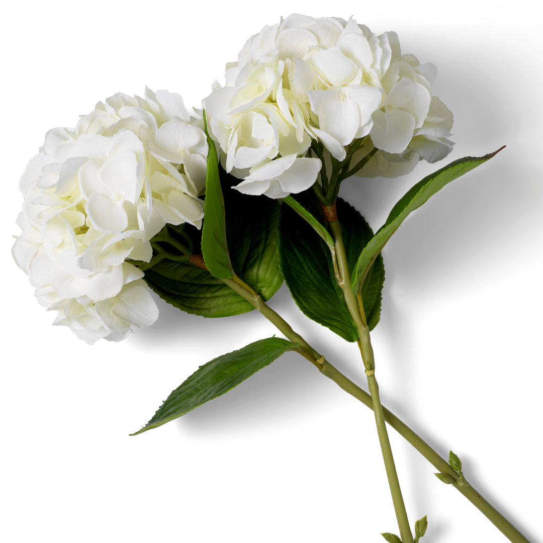 Eichholtz Hortensia's Real Touch Wit 48