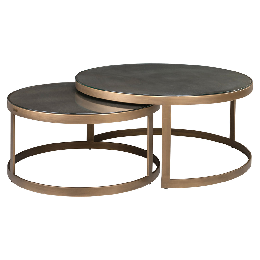 Coffee table Bloomville brass shagreen (Set of 2)