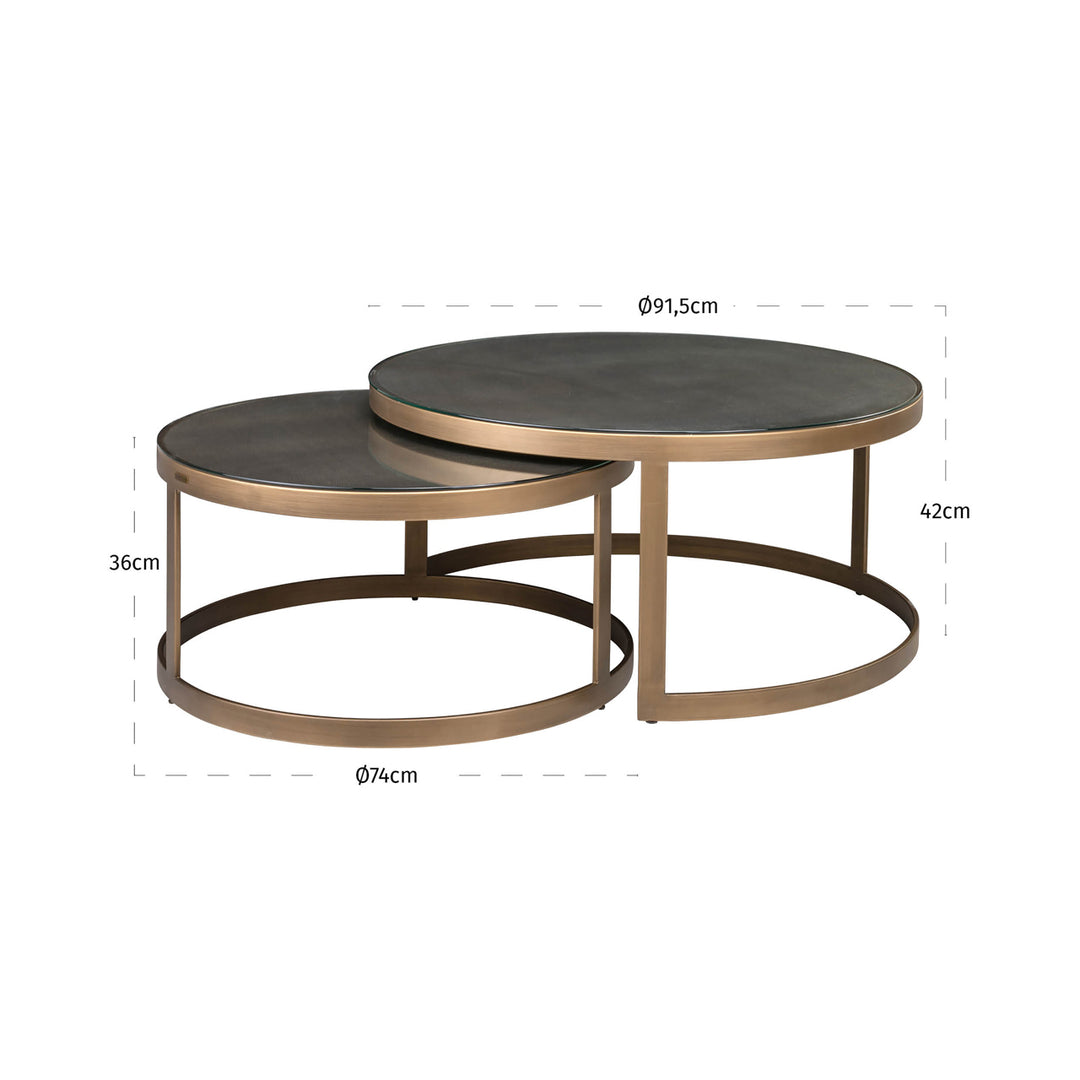 Coffee table Bloomville brass shagreen (Set of 2)