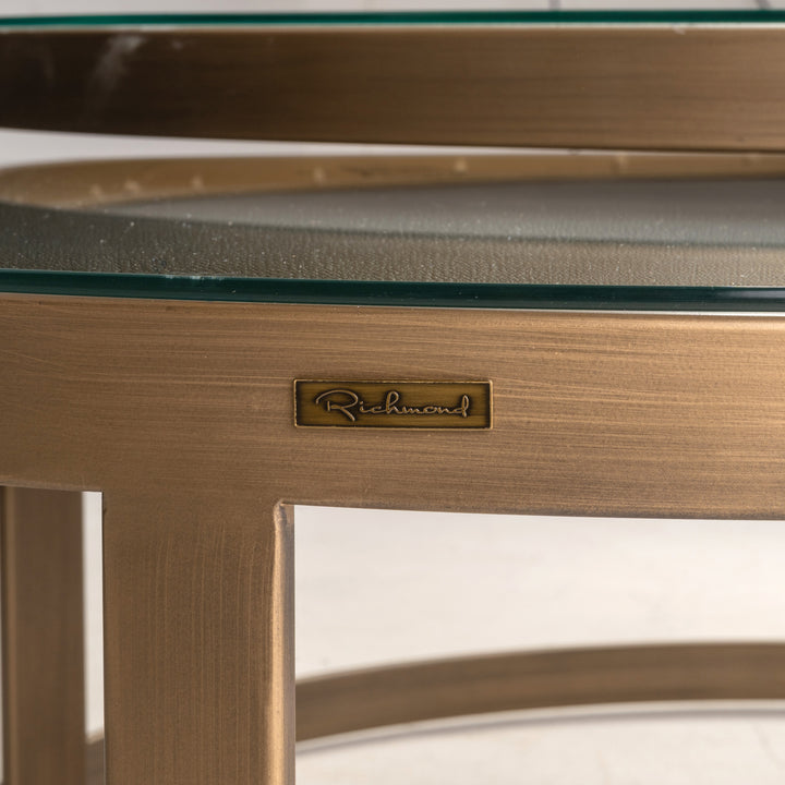 Coffee table Bloomville brass shagreen (Set of 2)