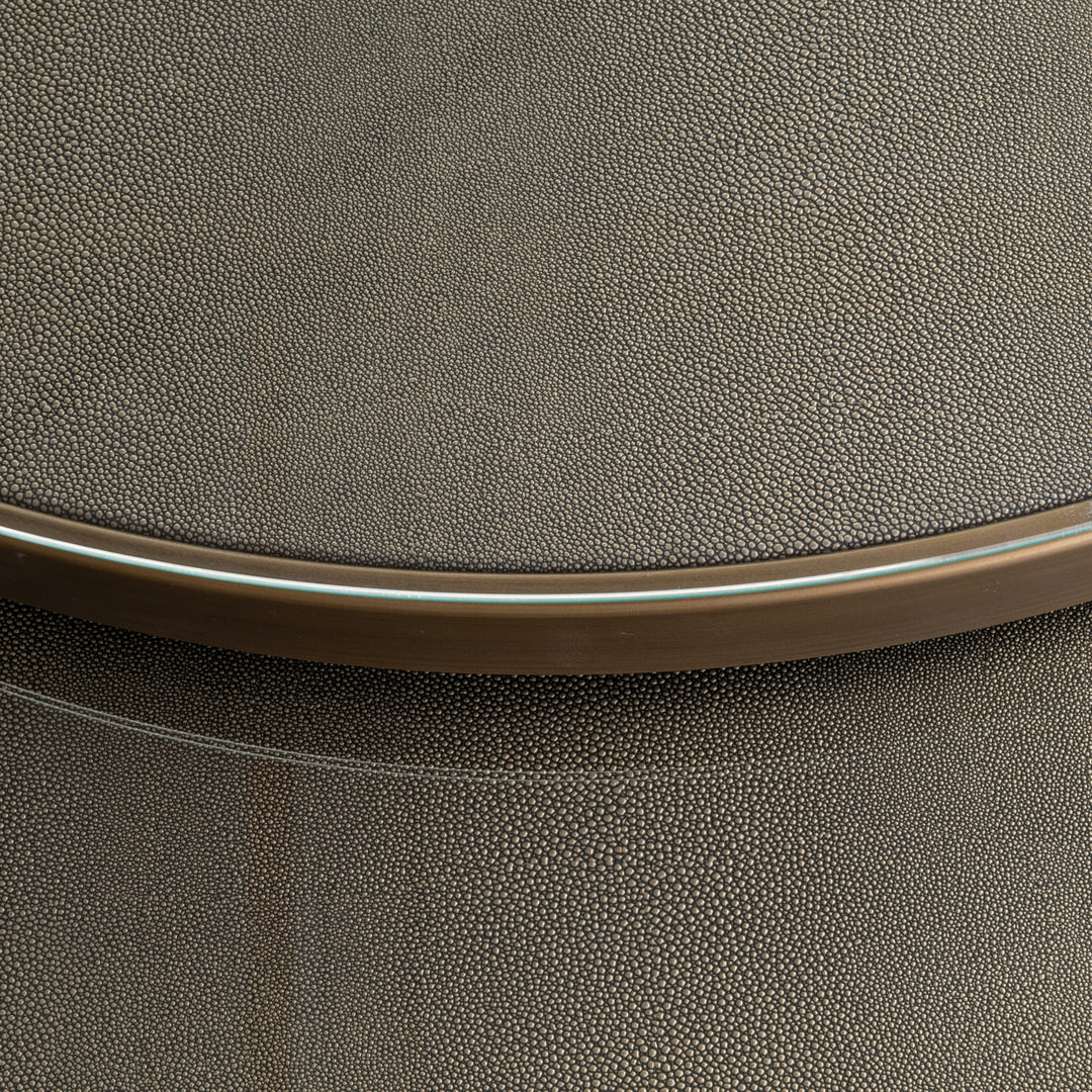 Coffee table Bloomville brass shagreen (Set of 2)