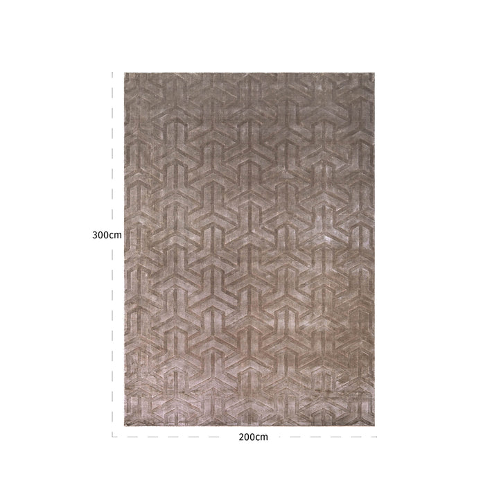 Carpet Arles beige 200x300