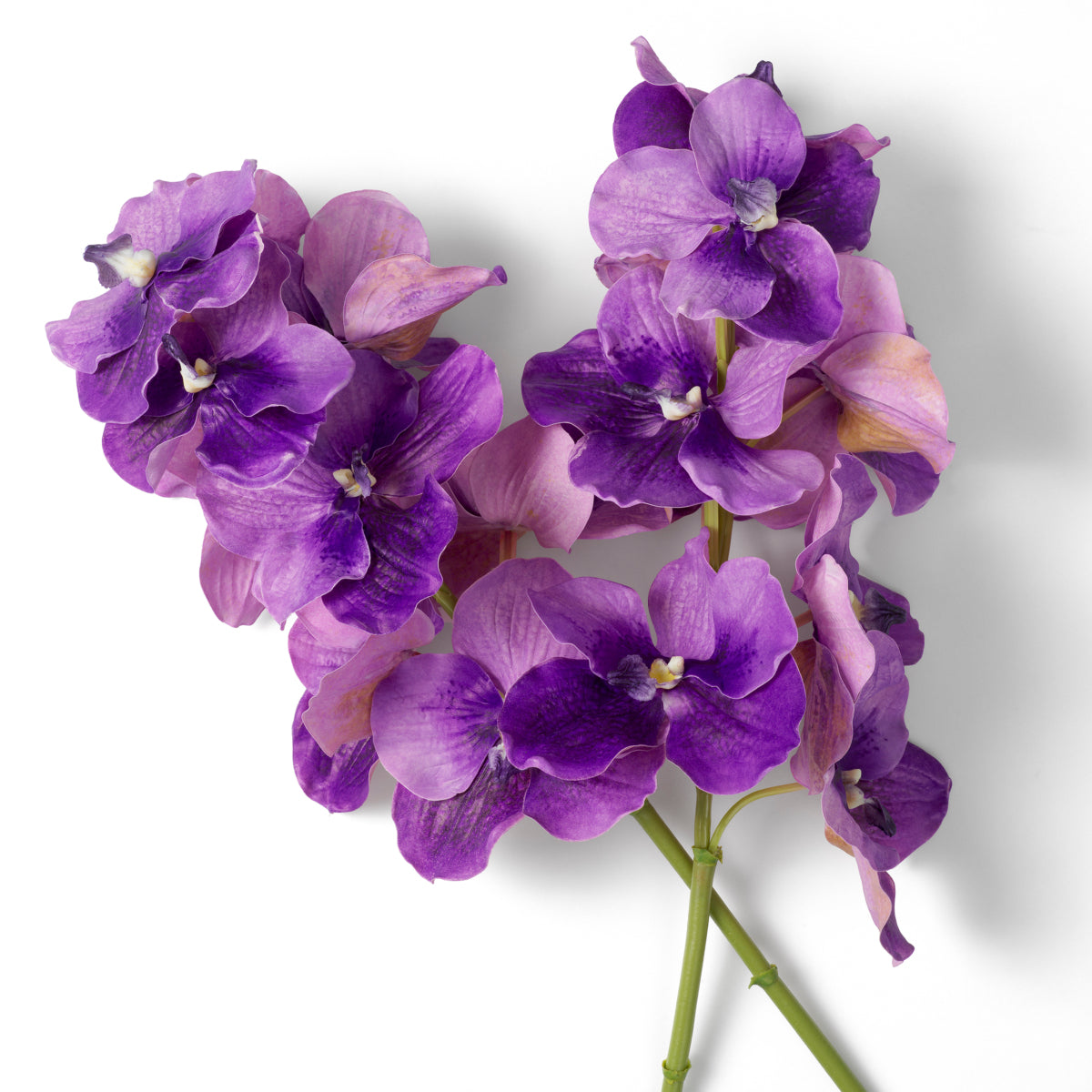 Eichholtz Boeket Vanda Orchideeën Real Touch 24 stuks