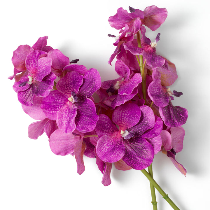 Bouquet Fuchsia Vanda Orchids Real Touch