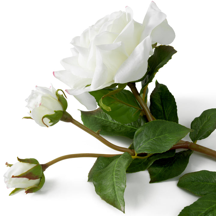 Eichholtz Bouquet of Roses Real Touch 72 pieces