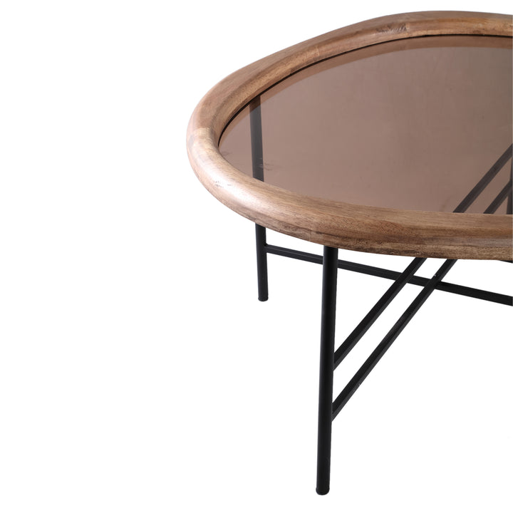 PTMD Neelix Organic Coffee Table M