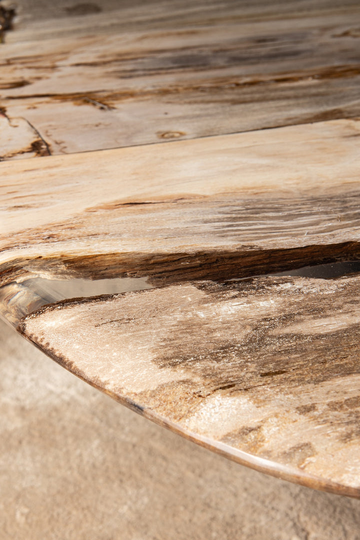 Deeba Coffee Table Petrified Wood 130