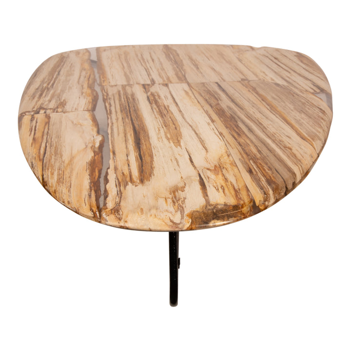 Deeba Coffee Table Petrified Wood 130