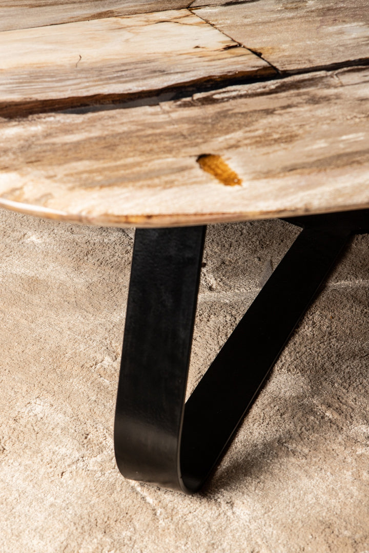 Deeba Coffee Table Petrified Wood 130