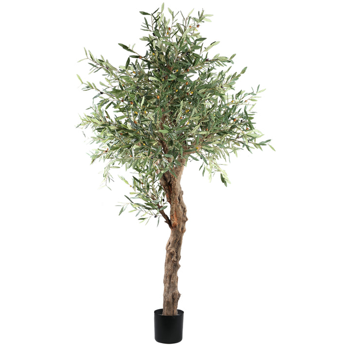 Green Olive Tree in Pot 210 cm