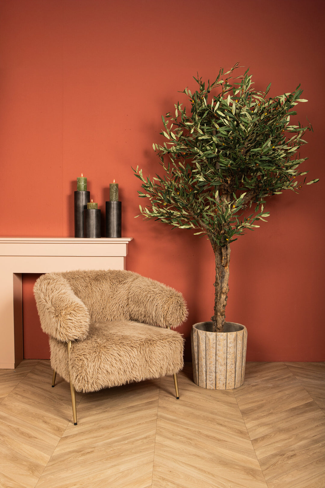 Green Olive Tree in Pot 210 cm