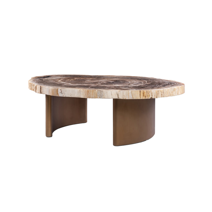 PTMD Yoel Salontafel