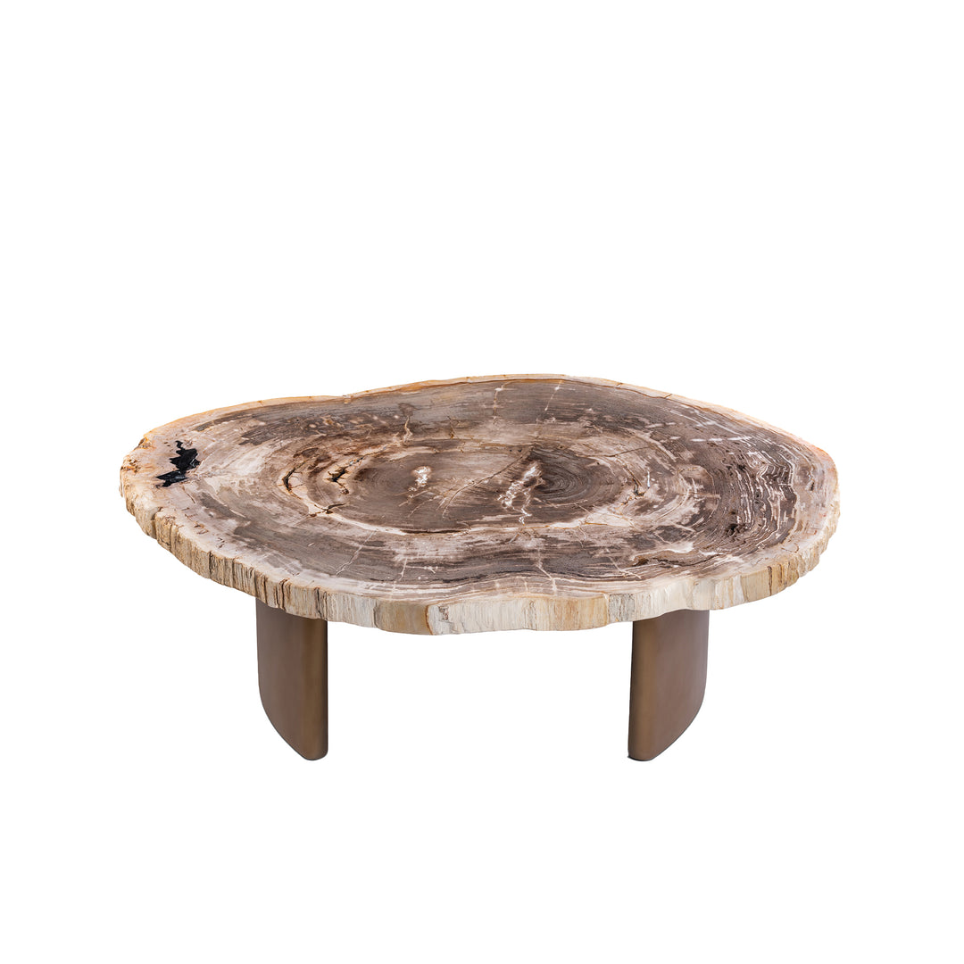 PTMD Yoel Salontafel