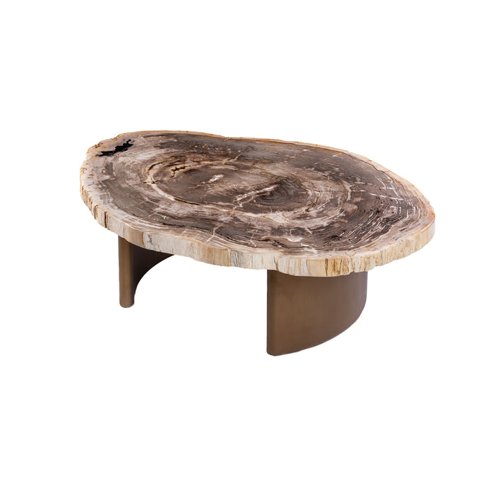 PTMD Yoel Salontafel