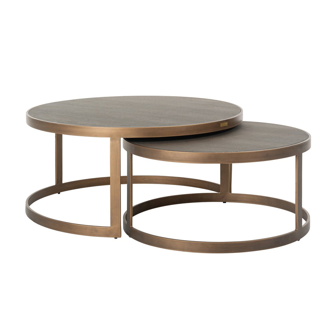 Coffee table Bloomville brass shagreen (Set of 2)