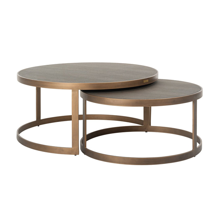 Coffee table Bloomville brass shagreen (Set of 2)