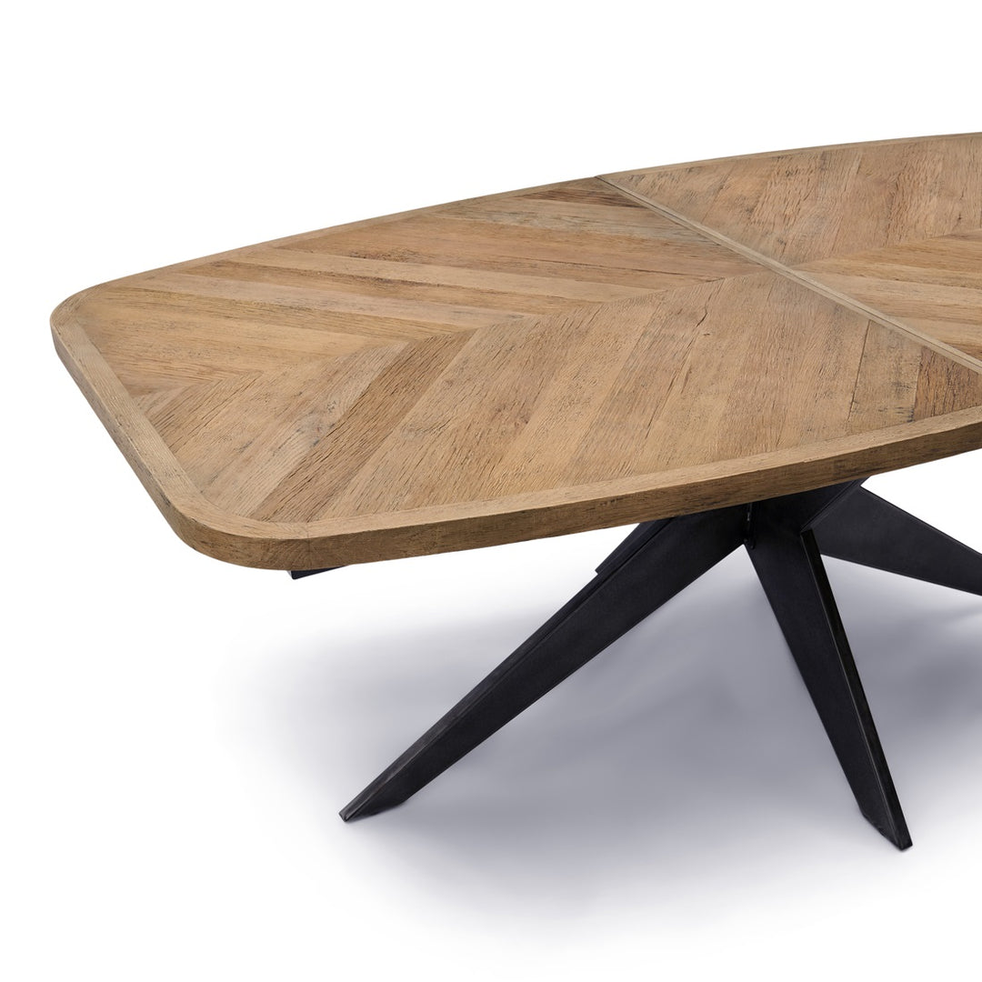 Falcon Crest Oval Dining Table Ext. 200/300x100
