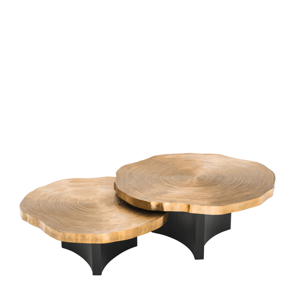 Eichholtz Salontafel Thousand Oaks (Set van 2)