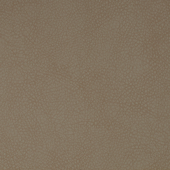 Eichholtz Dining Chair Cooper Beige (Set of 2)