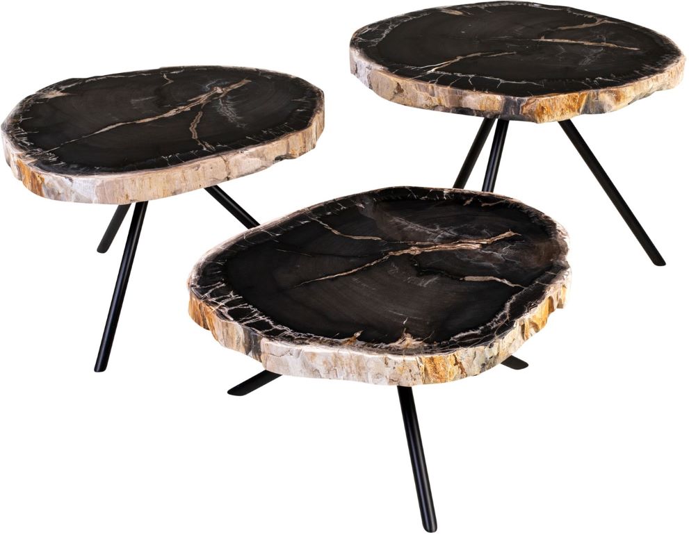 Versmissen Salontafel Petrified Wood Set van 3