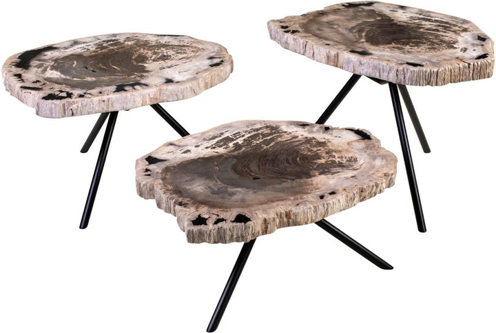 Versmissen Salontafel Petrified Wood Set van 3