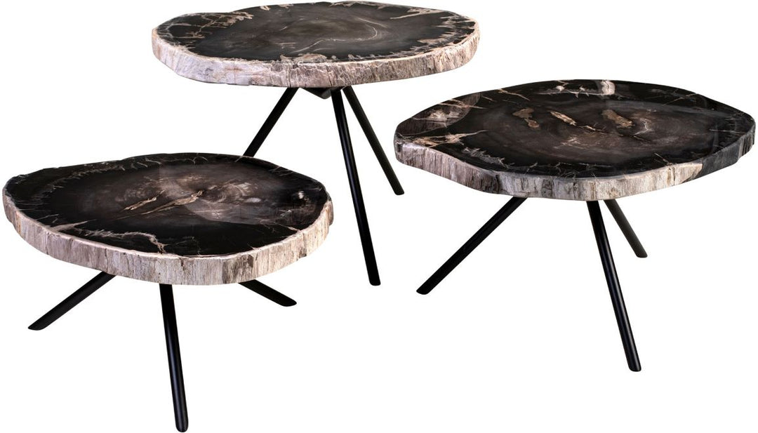 Versmissen Salontafel Petrified Wood Set van 3