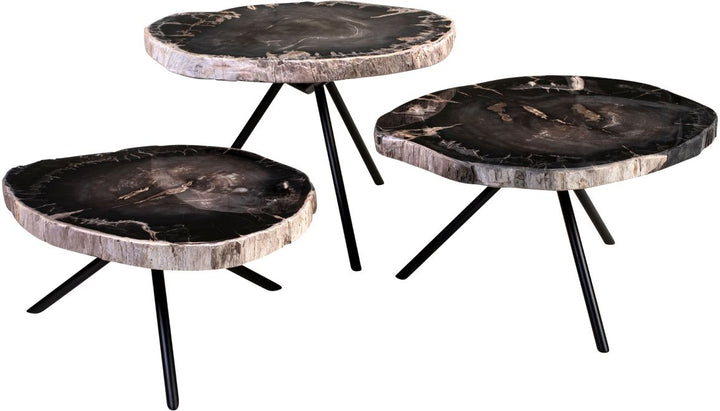 Versmissen Salontafel Petrified Wood Set van 3