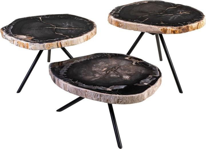 Versmissen Salontafel Petrified Wood Set van 3