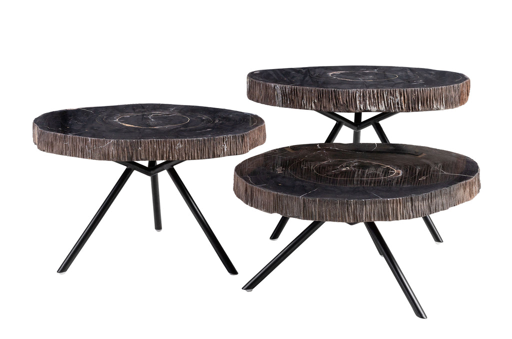 Versmissen Salontafel Petrified Wood Set van 3