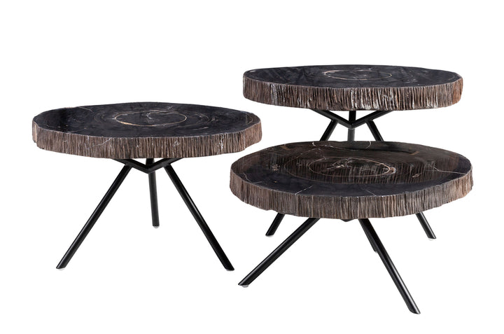 Versmissen Salontafel Petrified Wood Set van 3