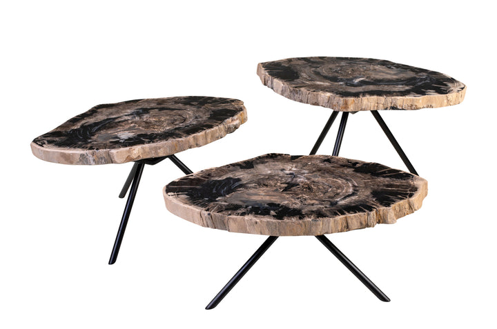 Versmissen Salontafel Petrified Wood Set van 3