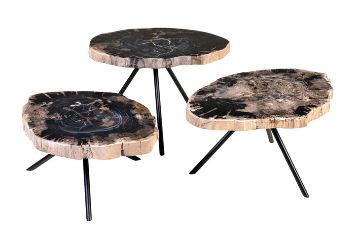 Versmissen Salontafel Petrified Wood Set van 3
