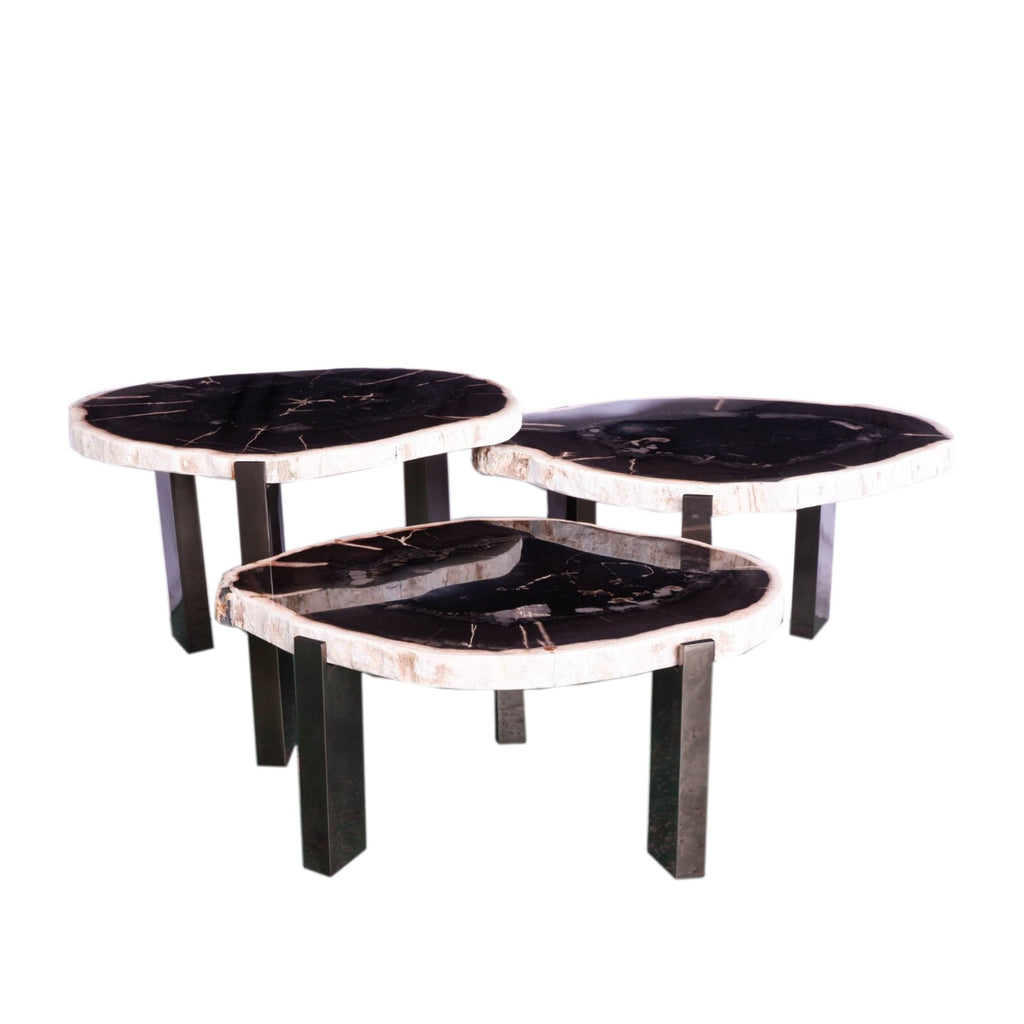 Rudi Grey petrified wood coffeetable nickel SV3
